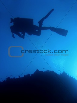 divers silhouette