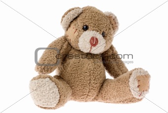 Cute Teddy Bear.