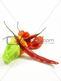pile of colorful peppers