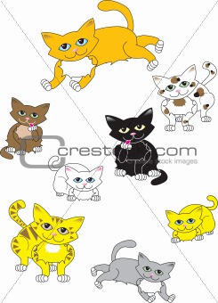 A collection of cats