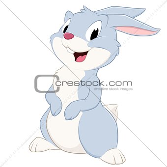 Cartoon Rabbit