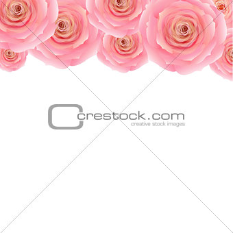 Pastel Pink Rose