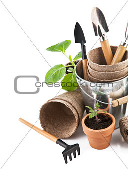 jpg2014040422534704893 Garden tools with seedlings vegetable