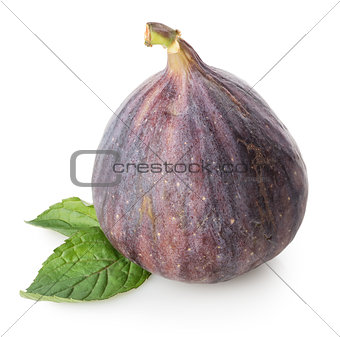 Figs with green leaf