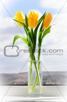 yellow tulips in vase on window sill