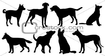 dog silhouettes