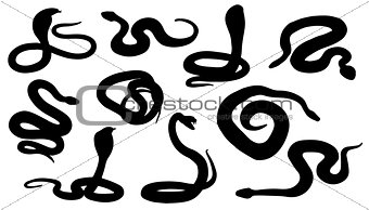 snake silhouettes