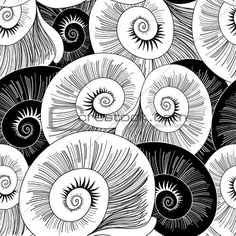 graphic pattern of shells 