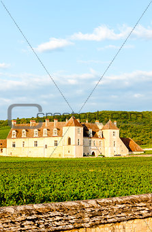 Clos Blanc De Vougeot Castle, Burgundy, France