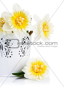 Yellow spring flowers in bucket