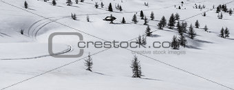 Pralongia , snow and trees - Dolomites, Italy