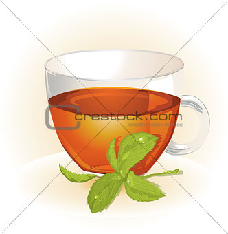Glass cup of tea with mint 