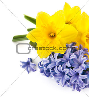 Bunch spring flowers