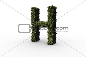 Capital letter h made of leaves