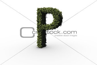 Capital letter p made of leaves