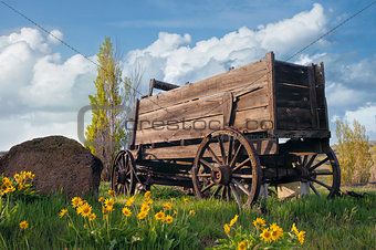 Old Wagon at Farm Ranch