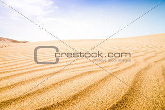 Sand dunes in sunny day. 