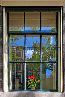 Bouquet of red tulips in the vase on the sill behind the window with reflection of building under blue sky in Amsterdam, Netherlands.