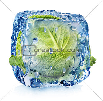 Ice cube with brussel sprouts