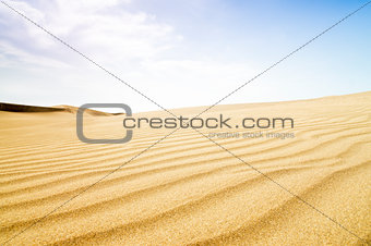 Sand dunes in sunny day. 