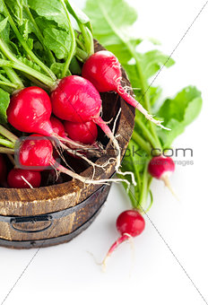 Fresh ripe radish vegetable with green leaves