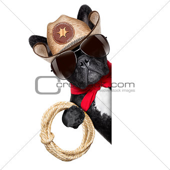 cowboy dog
