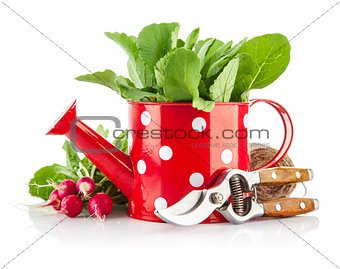 Green leaves in red watering can and tools for gardening