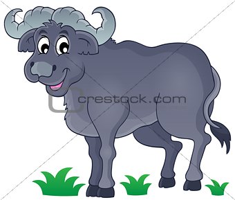 African bull image 1