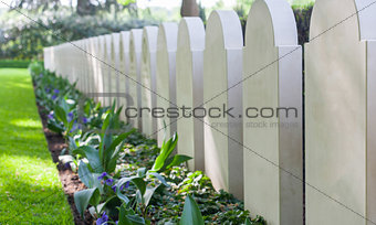 Rows of tombstones