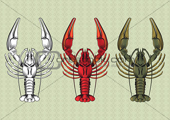 vector set of crawfish