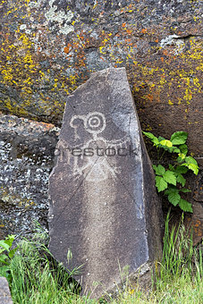 Native Indian Thunderbird Petroglyph
