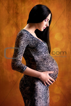 Beautiful pregnant young brunette