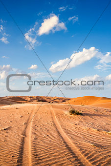 Desert Wahiba Oman
