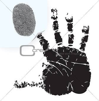 Fingerprint on a sticker