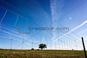View through the barbed wire fence
