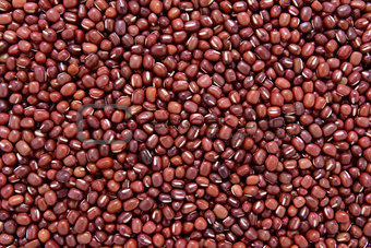 Adzuki beans background 