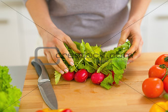 Closeup on young woman cutting radishes