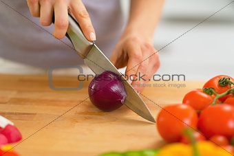 Closeup on young woman cutting onion