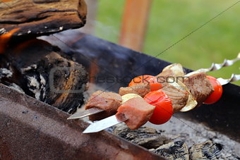 meat roasted on the fire skewers (shashlik) with tomatoes and mushrooms