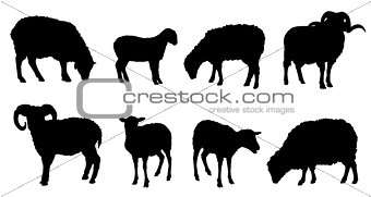 sheep silhouettes