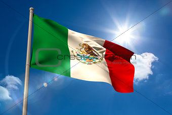 Mexico national flag on flagpole
