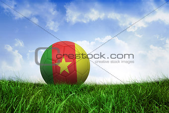 Football in cameroon colours