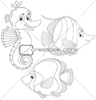 Coral fishes and seahorse