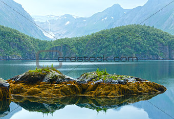 Lake (fjord) and Svartisen Glacier (Norway)