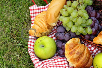 picnic on green grass with grapes and croissants