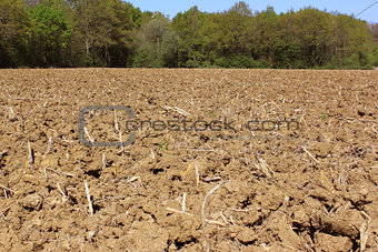 Agricultural land