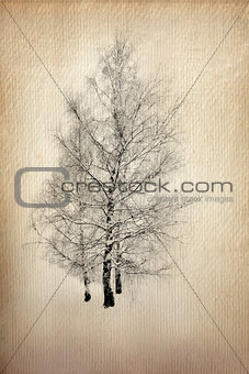 Tree on Grunge Paper