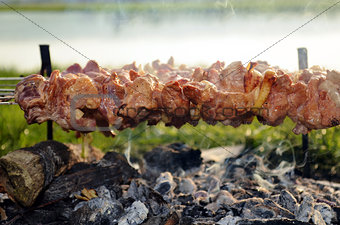 Pork kebab