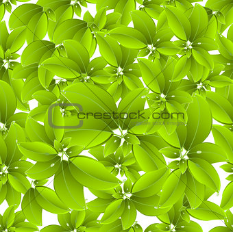 Leaves seamless pattern 