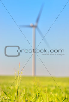 wind turbines on Green wheat field